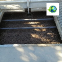 ASE (Agua Y Saneamiento Ecológico)